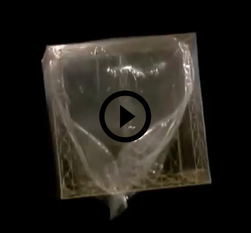 Vidéo